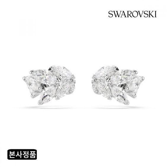 Orecchini Swarovski in Acciaio 5747998 - 5747998